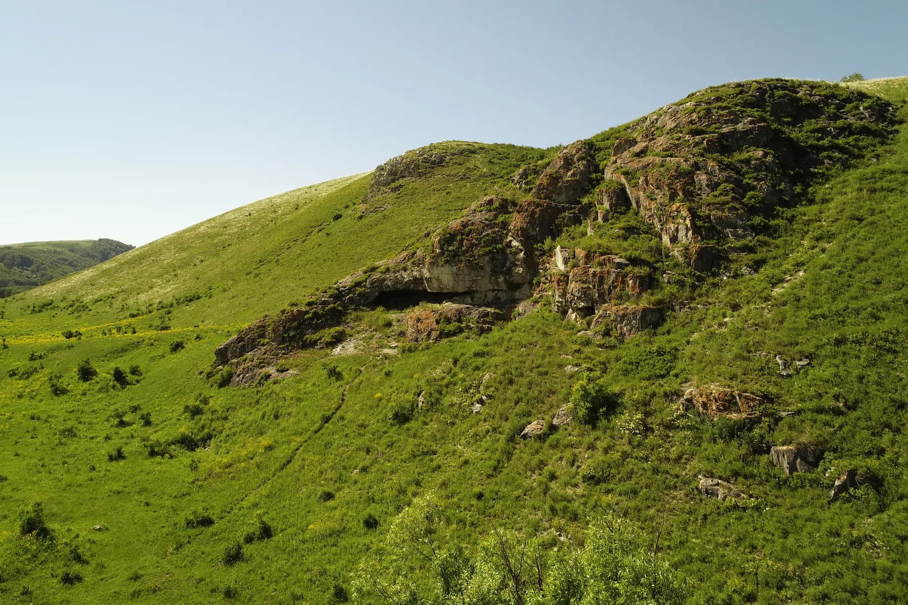 Окрестности базы в Горном Алтае