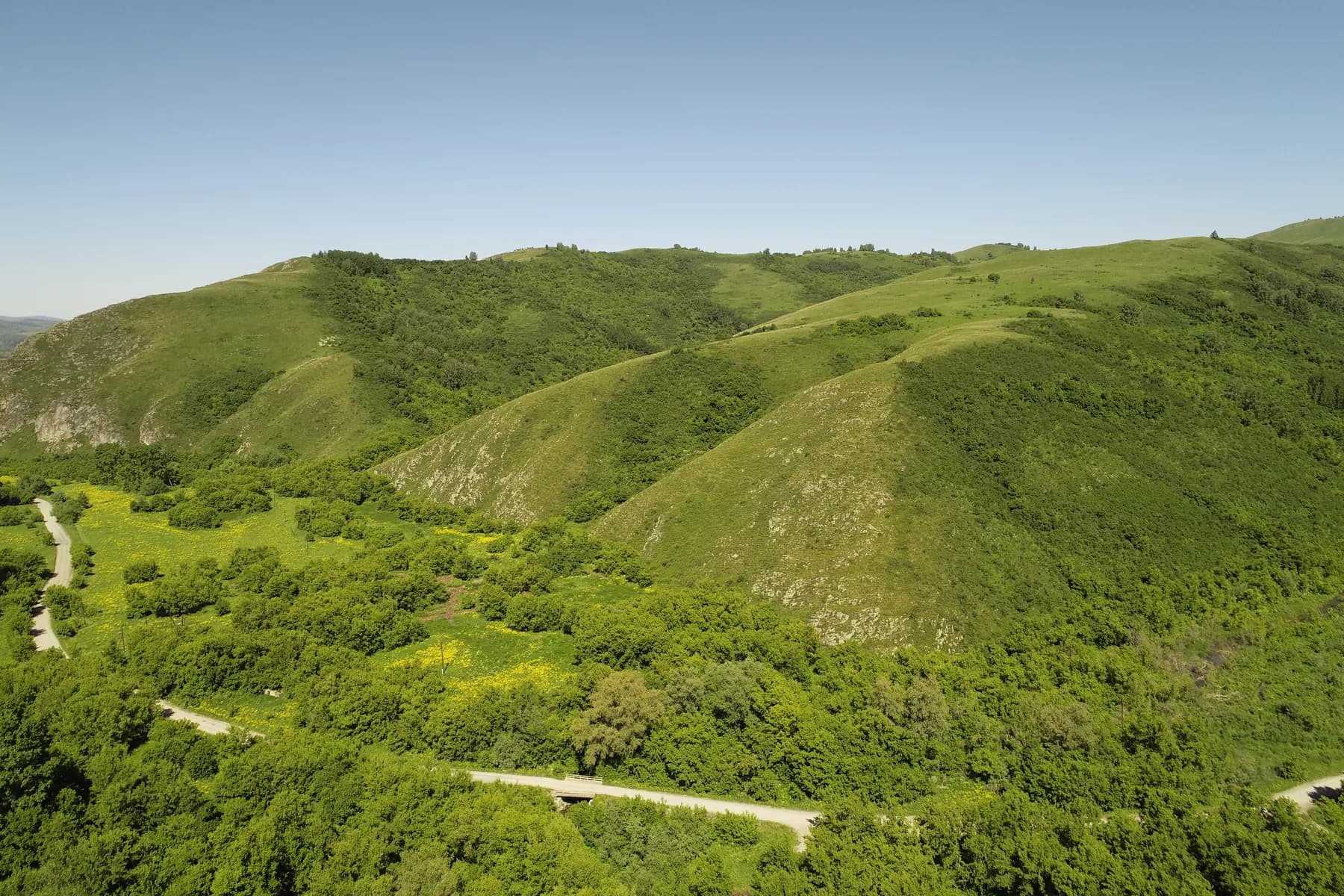 Природа вокруг лагерной базы