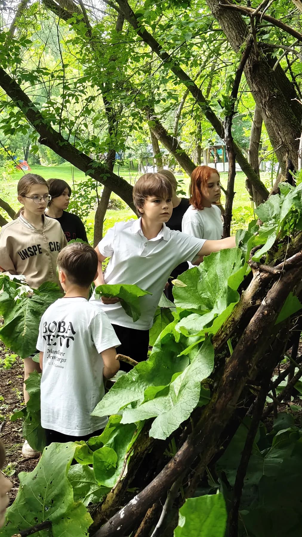 Превью видео День 10